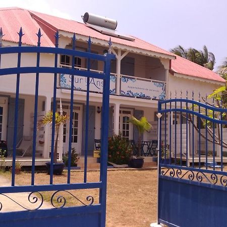 Sur L'Anse Villa Terre-De-Haut Exteriör bild