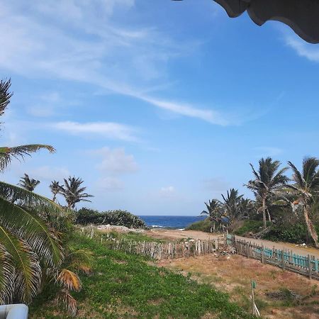 Sur L'Anse Villa Terre-De-Haut Exteriör bild